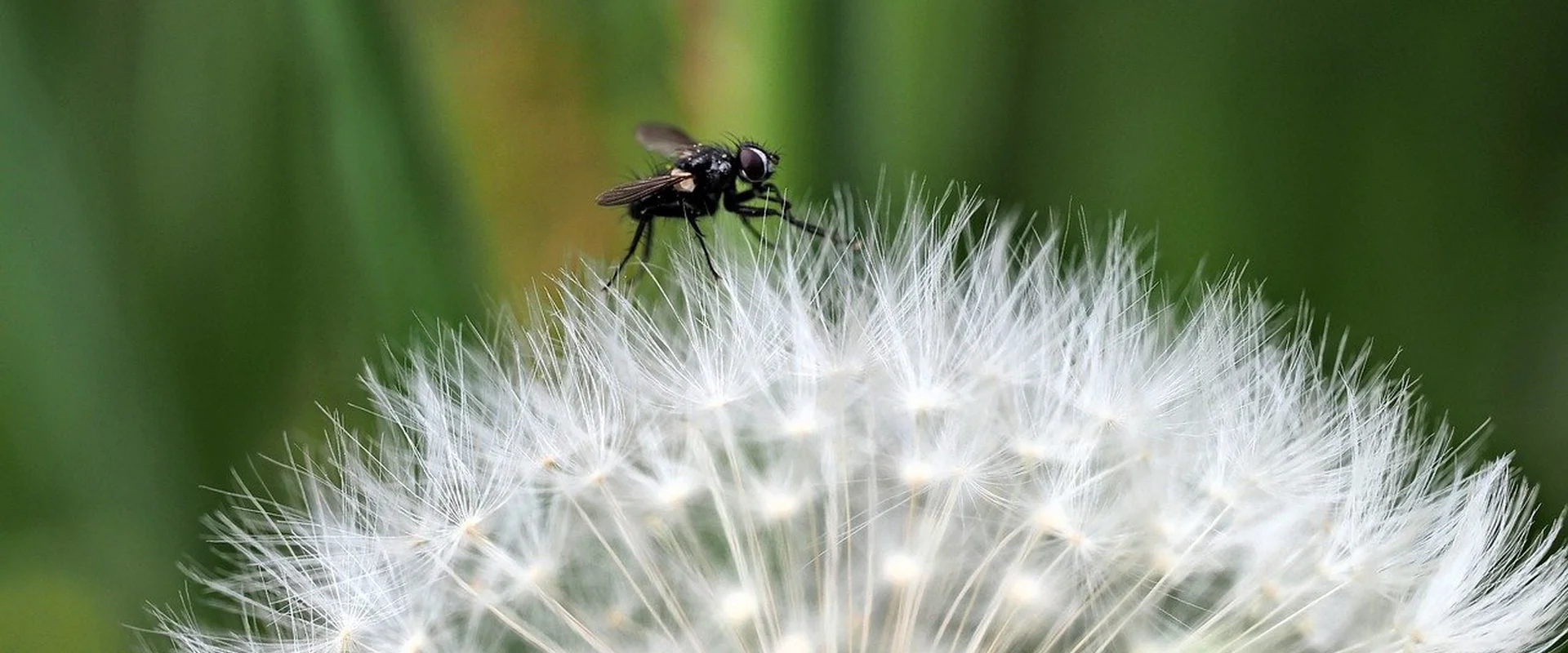 c7娱乐娱乐平台