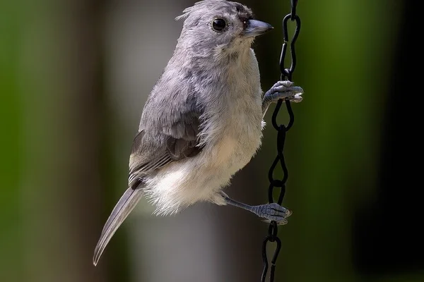 c7娱乐真人娱乐